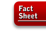 Fact Sheet