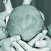 Newborn