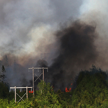 wildfire