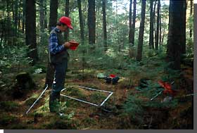 Researcher recording measurements