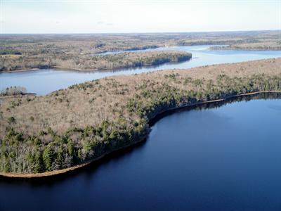 Carleton River Wilderness Area