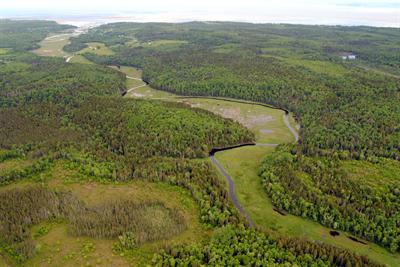 Walton River Wilderness Area