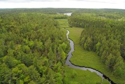 Cloud Lake Wilderness Area