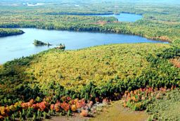 Medway Lakes Wilderness Area