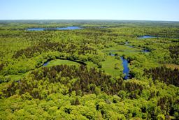 Porcupine Lake Wilderness Area | Protected Areas | Nova Scotia Environment