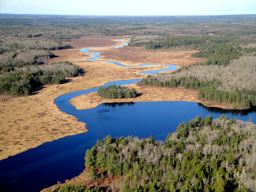 Silver River Wilderness Area