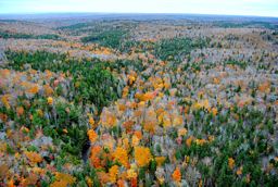 Tracadie River Wilderness Area