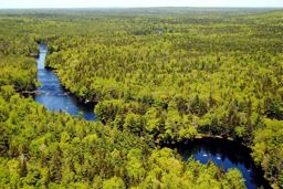 Tusket River Wilderness Area