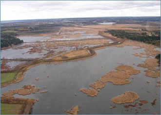 Chignecto National Wildlife Area near Amherst Point