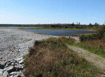 Image of a saline pond